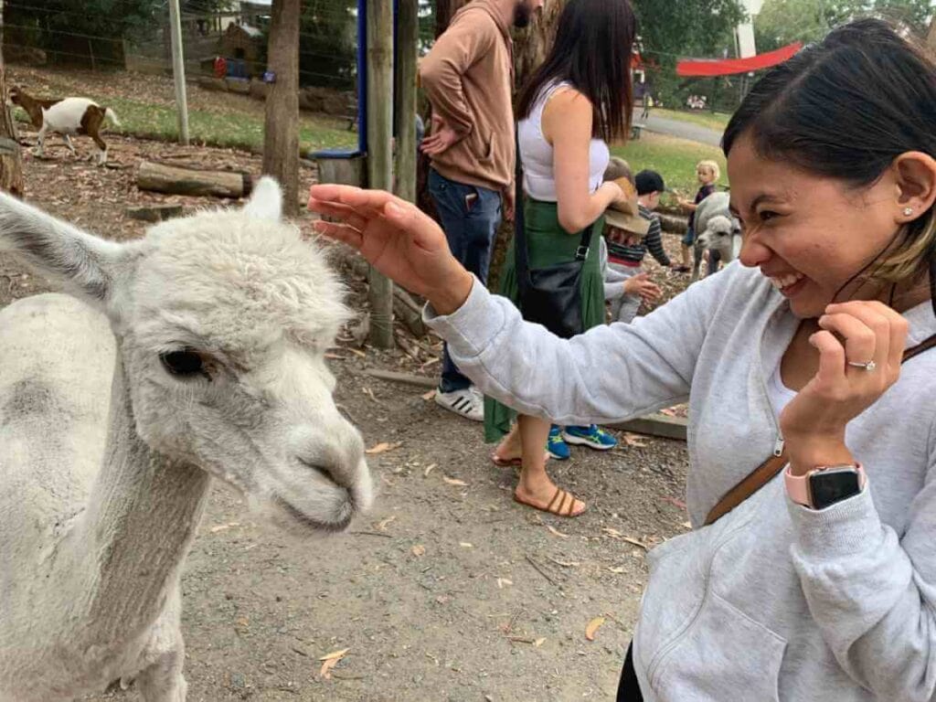 The author, Kate, interacting with a friendly alpaca at a petting zoo, one of the engaging activities to experience when exploring things to do in the Adelaide Hills.