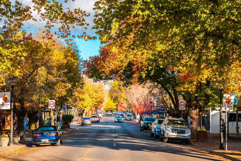 A vibrant autumn view of Hahndorf's main street lined with colorful deciduous trees and local shops, a picturesque scene for visitors seeking things to do in the Adelaide Hills
