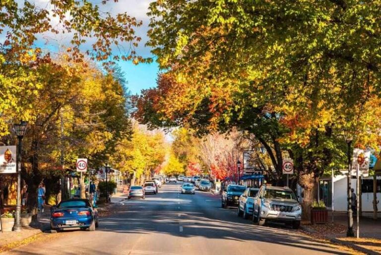 A bustling street in Hahndorf, Adelaide Hills, lined with shops and vibrant autumn foliage, capturing the charming village atmosphere that enhances the experience of living in the Adelaide Hills region.
