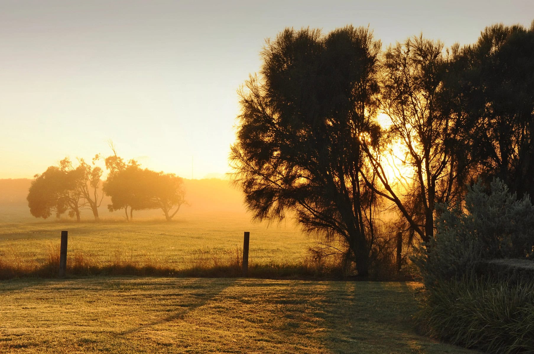 Clare Valley Tourist Attractions
