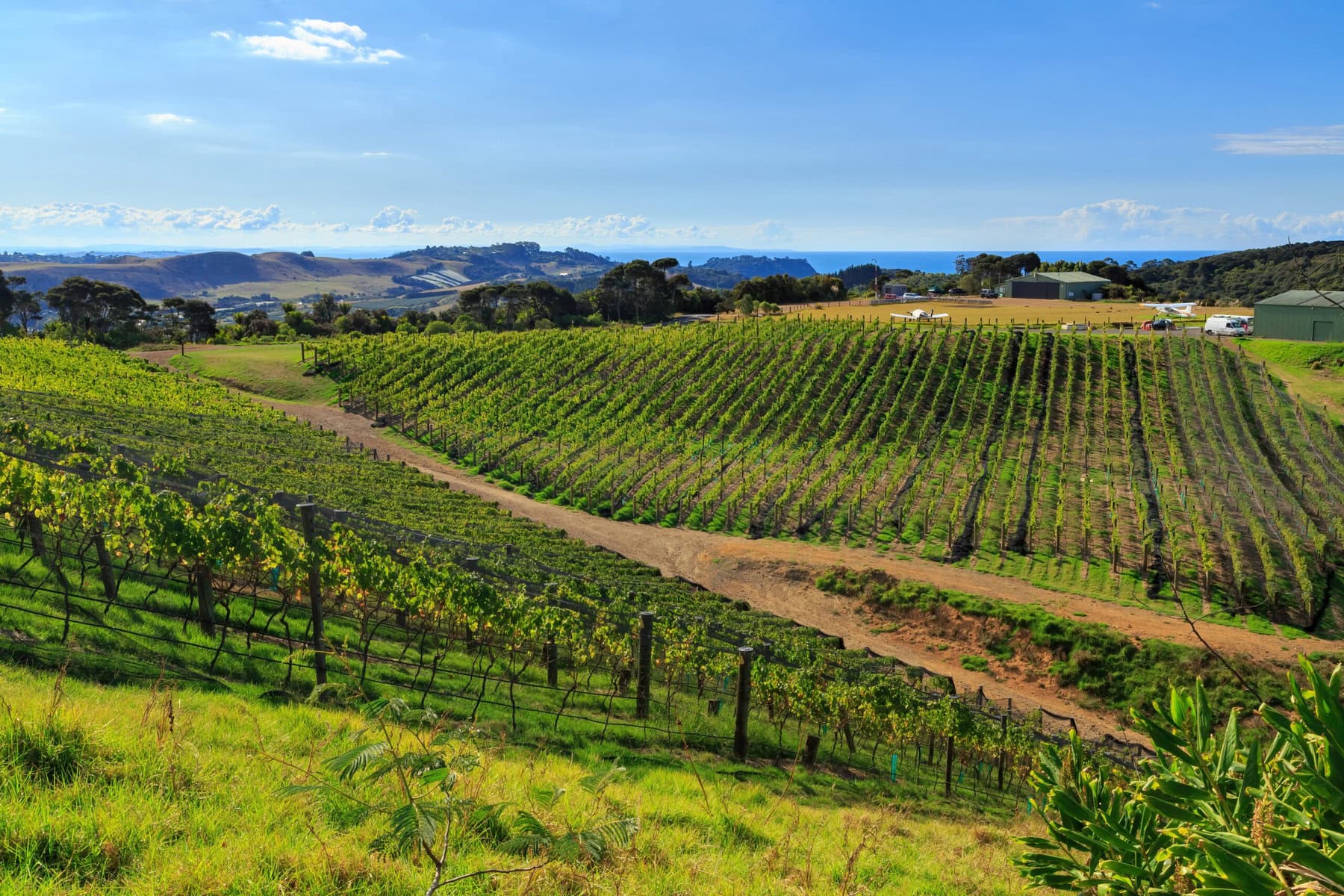 Best Wineries in Clare Valley