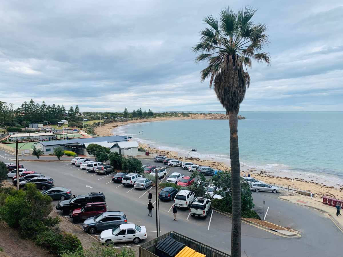 port elliot (1) View of Port Elliot's Horseshoe Bay with a lively parking area, palm trees, and a stunning coastline, showcasing why it is one of Fleurieu Peninsula's best beaches.