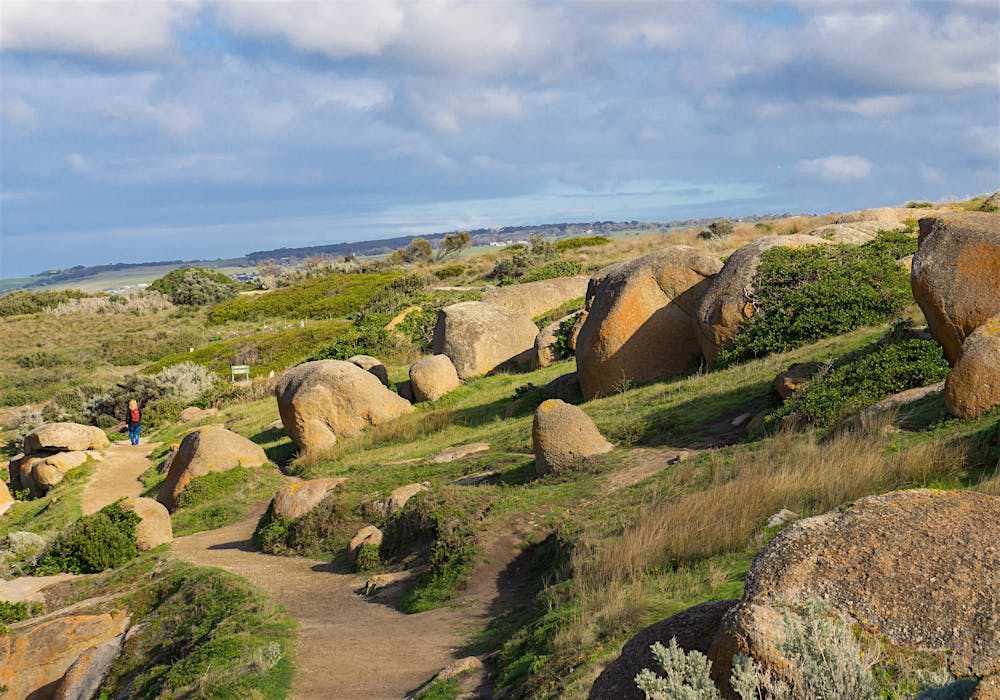 Granite Island Recreation Park at Fleurieu Peninsula where you can spot wildlife