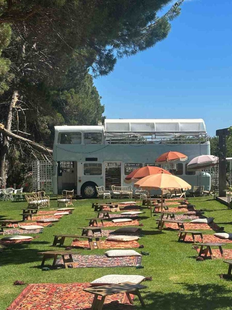 Outdoor picnic-style wine tasting area at Down The Rabbit Hole Wines in McLaren Vale, with colourful rugs, floor cushions, and a double-decker bus bar under tall pine trees.