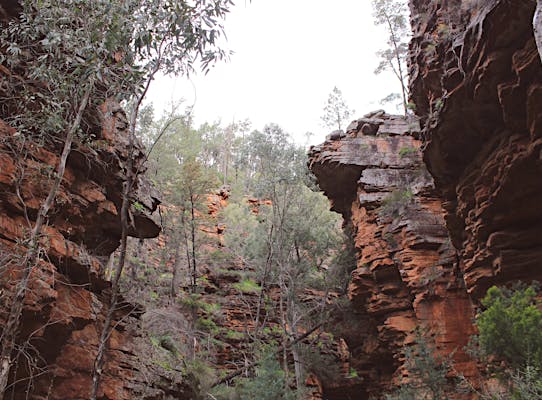 Alligator Gorge one of the Hiking Trails in the Flinders Ranges