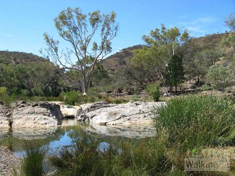 Blinman Pools one of the Hiking Trails in the Flinders Ranges