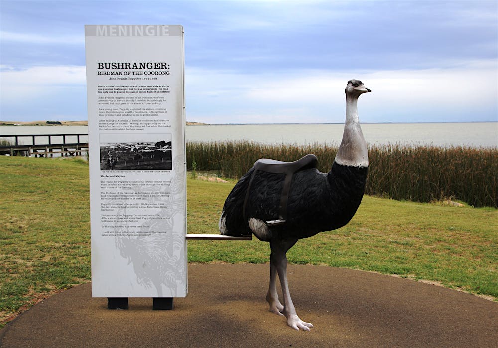 Bushranger Birdman of the Coorong