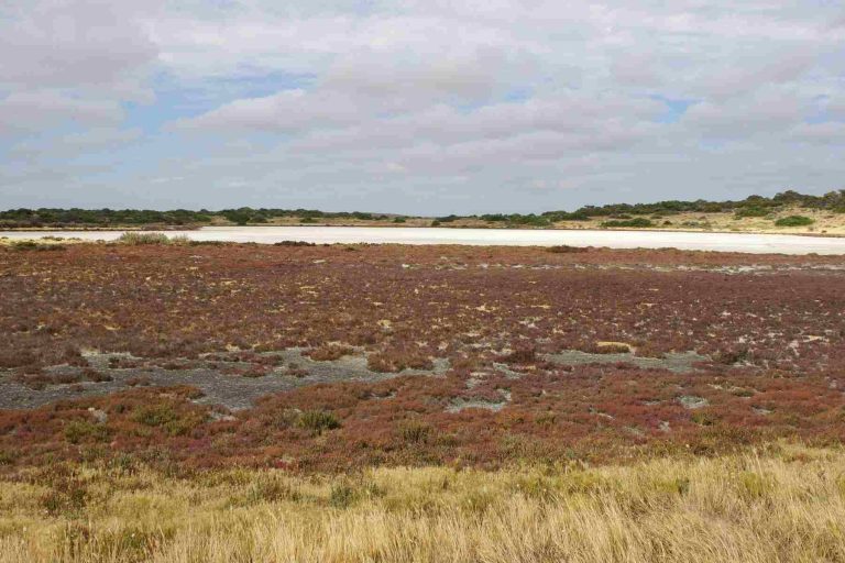 Coorong National Park