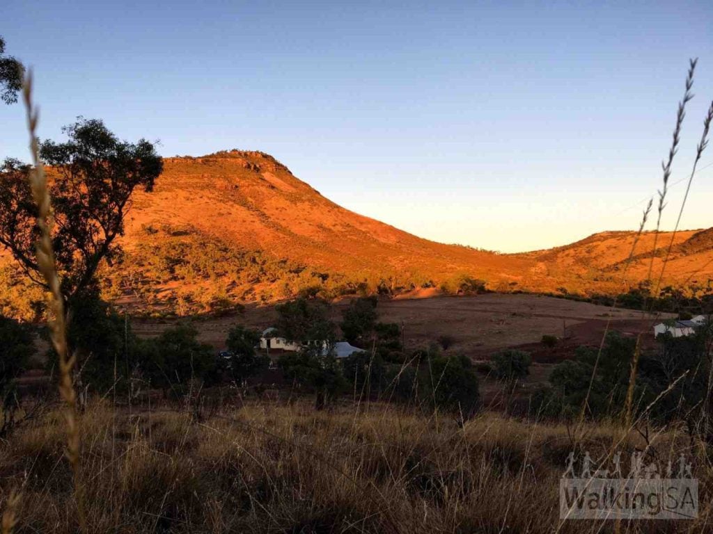 Dutchmans Stern one of the Hiking Trails in the Flinders Ranges