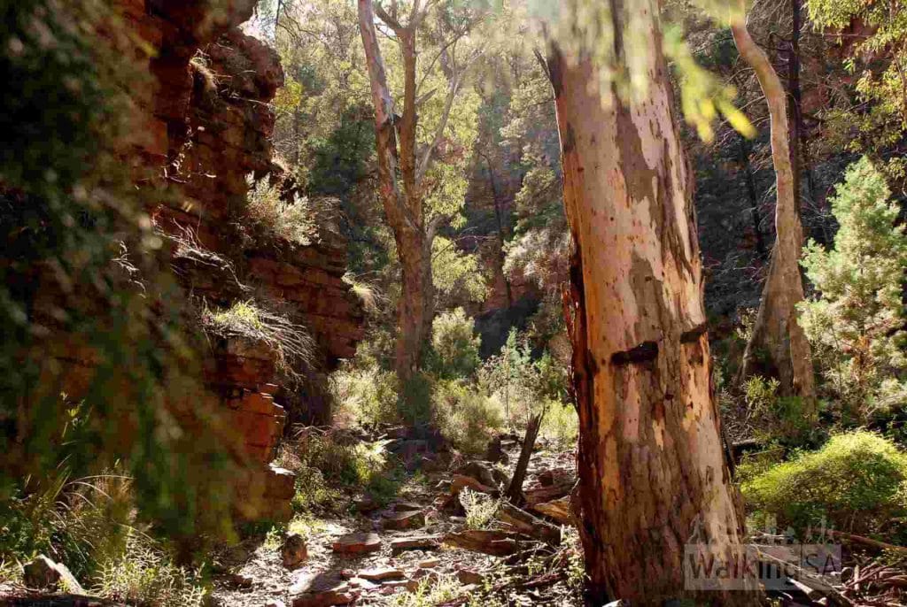 Hidden Gorge one of the Hiking Trails in the Flinders Ranges