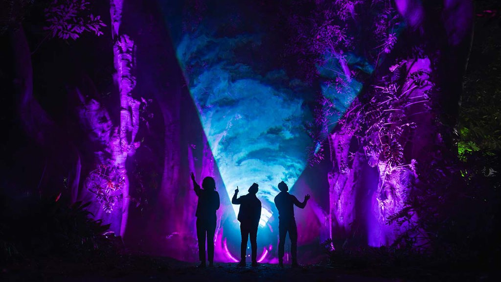 Night Visions at the Botanic Garden