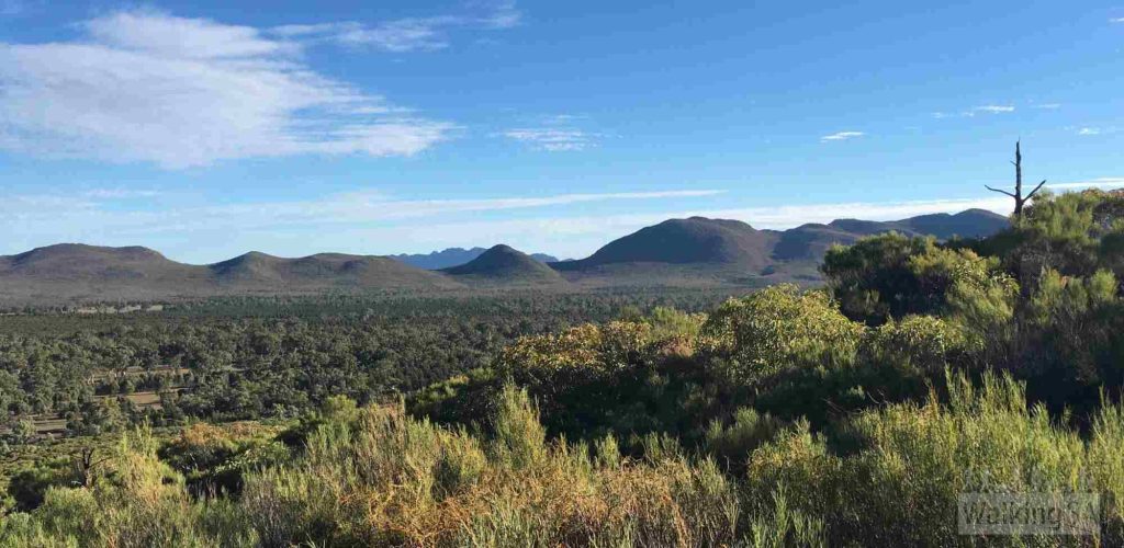 The view inside Wilpena Pound at Wangara Lookout. One of the Hiking Trails in the Flinders Ranges