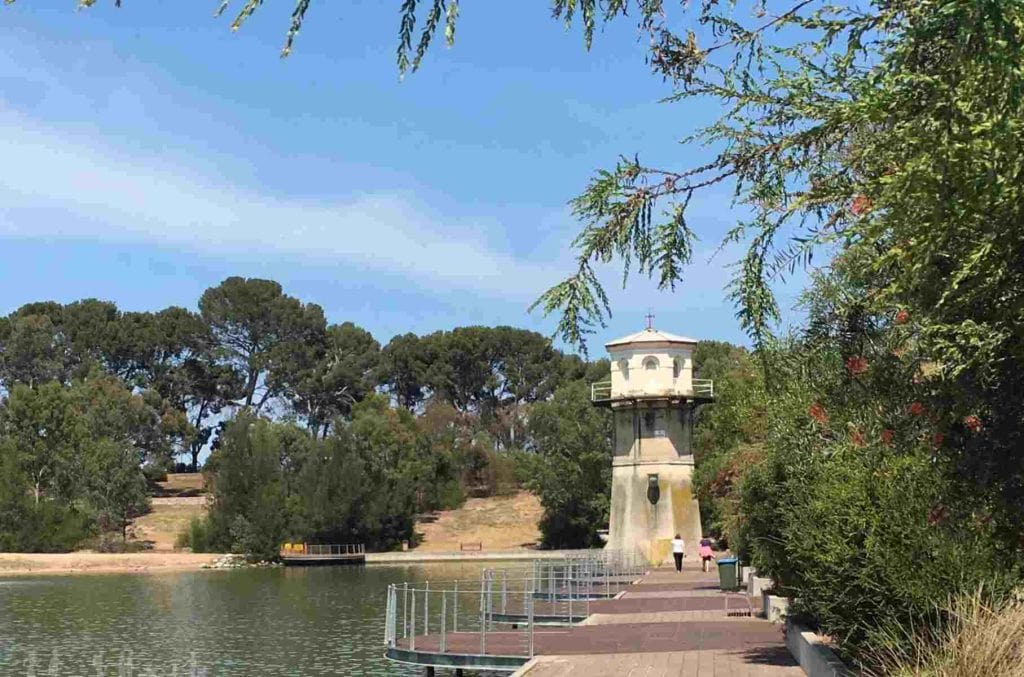 An easy wheelchair and pram accessible walk around Thorndon Park Lake