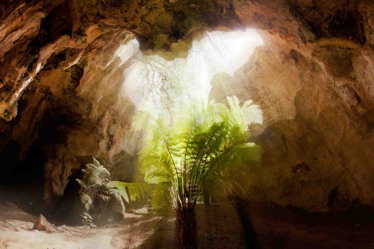 Inside a limestone cave at Naracoorte Caves National Park in South Australia. It is one of the World Heritage site, with extensive fossil record.