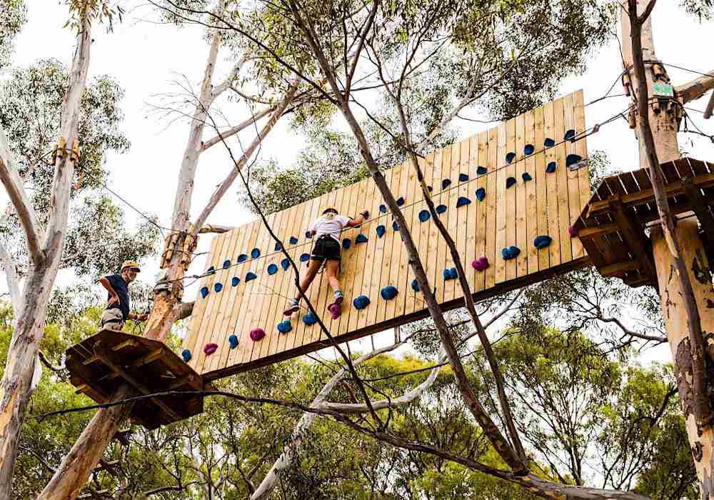 TreeClimb Aerial Adventure Park