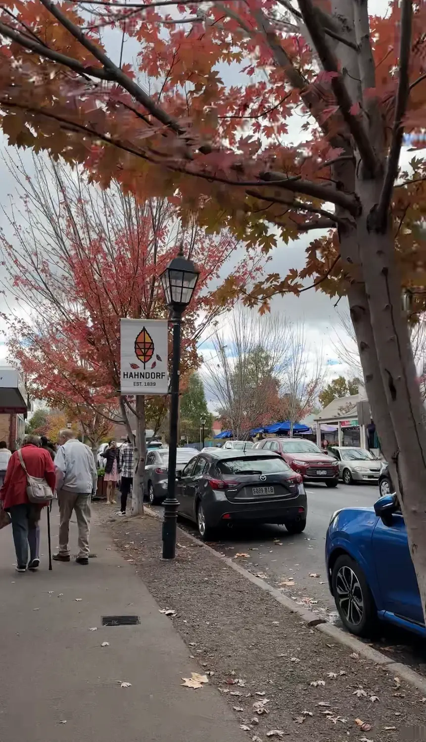 People stroll along Hahndorf's main street beneath vibrant autumn trees, with the "Hahndorf Est. 1839" banner displayed on a lamppost and shops lining the road. Hahndorf is one of the most charming destinations for day trips from Adelaide, known for its historic village atmosphere, boutique shopping, and seasonal autumn colours.