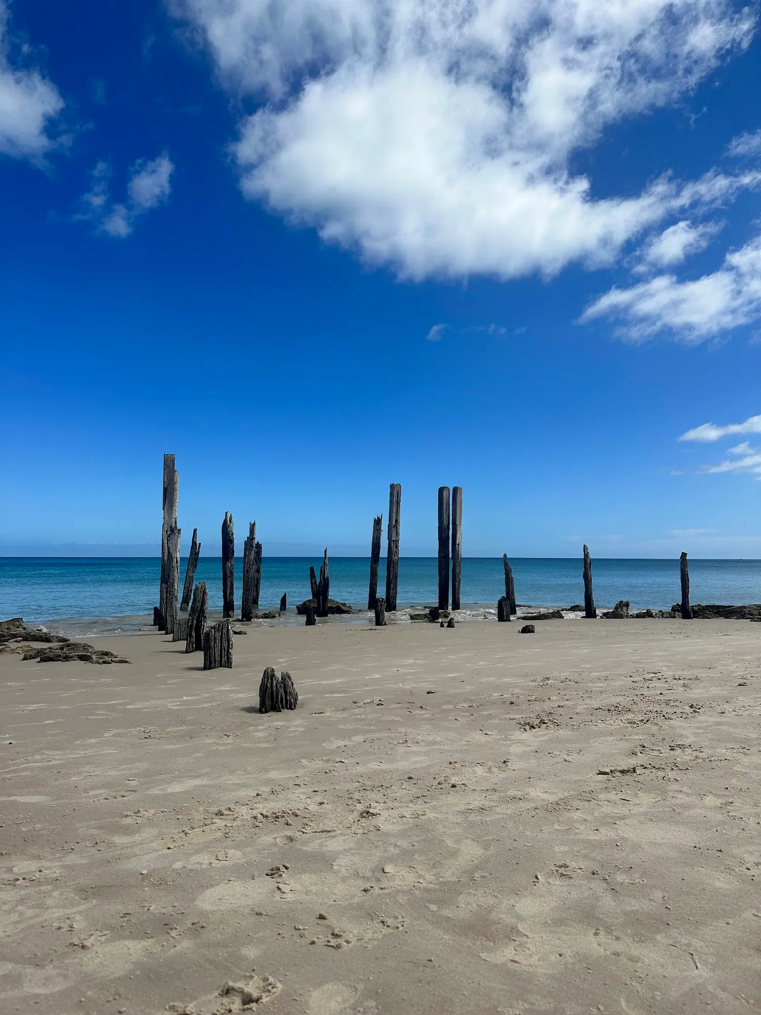 Weathered wooden jetty pylons rise from the sand and shallow sea beneath a bright blue sky with large white clouds. The remains of the old jetty create a striking coastal scene on one of the scenic day trips from Adelaide, with calm turquoise water stretching to the horizon.