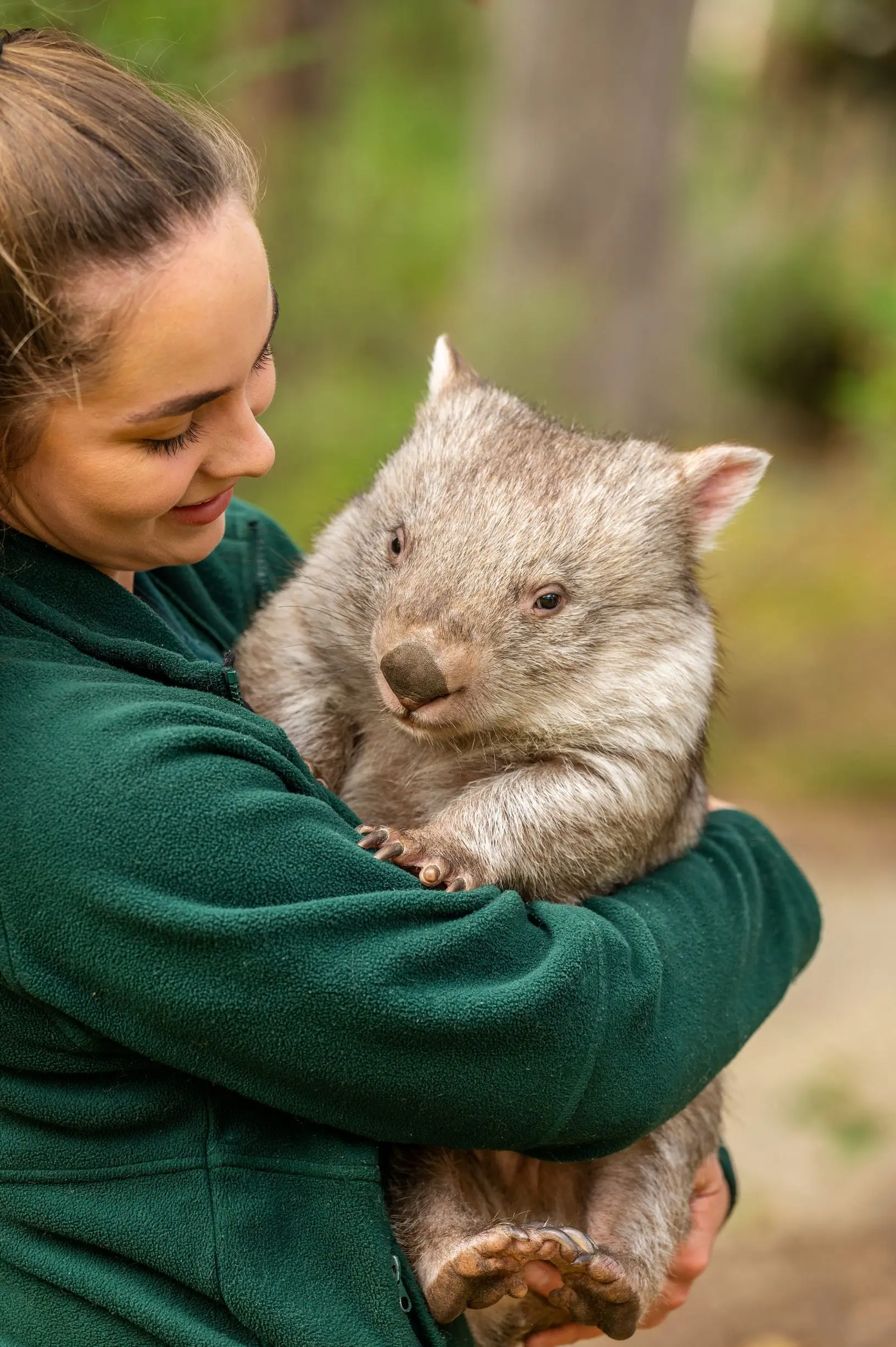 A person gently cradles a wombat in a natural bush setting while looking down at the animal with a smile. Meeting native wildlife up close is one of the most memorable Adelaide tourist attractions for animal lovers visiting the region.